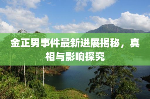 金正男事件最新進(jìn)展揭秘，真相與影響探究