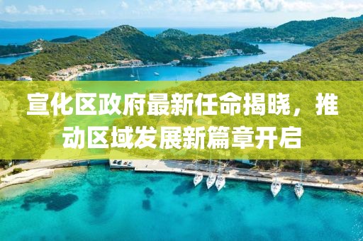 宣化區(qū)政府最新任命揭曉，推動區(qū)域發(fā)展新篇章開啟