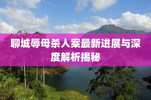 聊城辱母殺人案最新進(jìn)展與深度解析揭秘