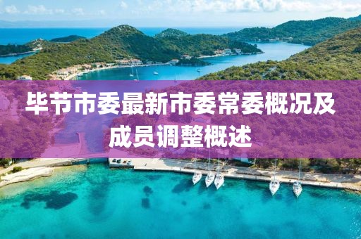 畢節(jié)市委最新市委常委概況及成員調(diào)整概述