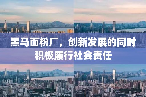 黑馬面粉廠，創(chuàng)新發(fā)展的同時積極履行社會責(zé)任