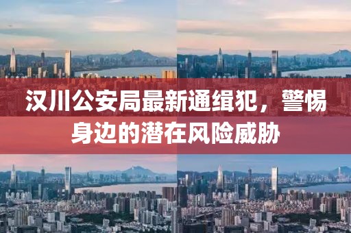 漢川公安局最新通緝犯，警惕身邊的潛在風險威脅
