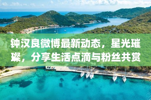 鐘漢良微博最新動(dòng)態(tài)，星光璀璨，分享生活點(diǎn)滴與粉絲共賞