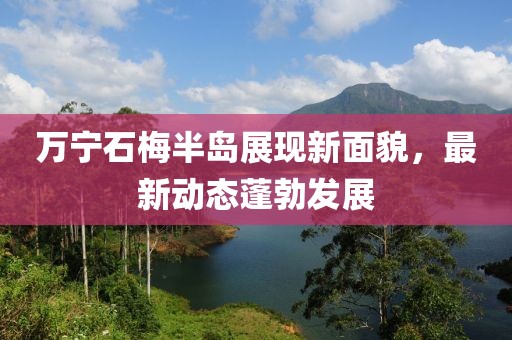 千里清秋 第17頁