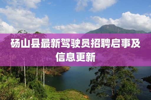 碭山縣最新駕駛員招聘啟事及信息更新