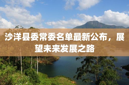 沙洋縣委常委名單最新公布，展望未來發(fā)展之路