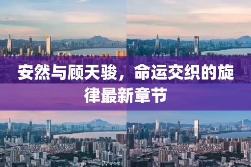 安然與顧天駿，命運交織的旋律最新章節(jié)
