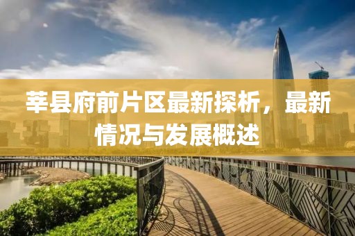 莘縣府前片區(qū)最新探析，最新情況與發(fā)展概述