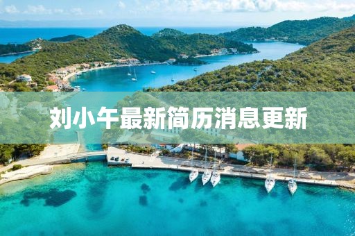 劉小午最新簡歷消息更新