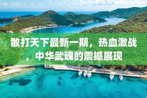 散打天下最新一期，熱血激戰(zhàn)，中華武魂的震撼展現(xiàn)