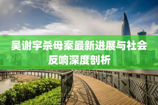 吳謝宇殺母案最新進(jìn)展與社會(huì)反響深度剖析