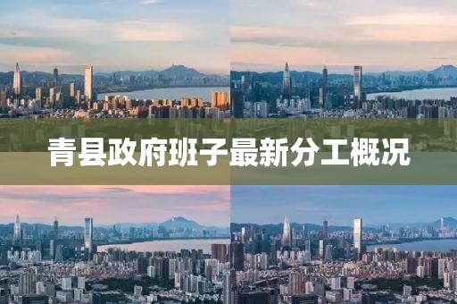 青縣政府班子最新分工概況