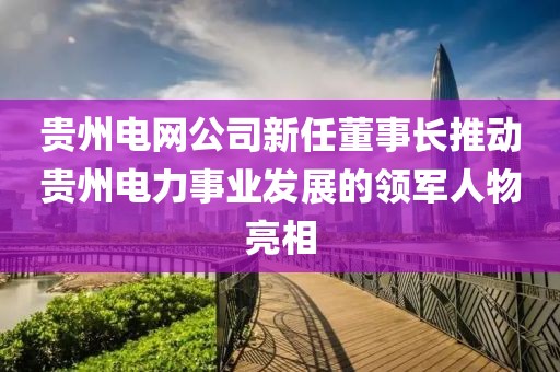 貴州電網(wǎng)公司新任董事長(zhǎng)推動(dòng)貴州電力事業(yè)發(fā)展的領(lǐng)軍人物亮相