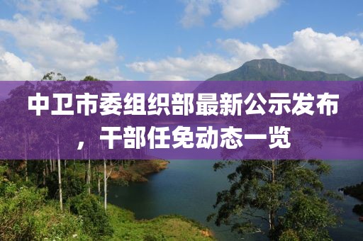 中衛(wèi)市委組織部最新公示發(fā)布，干部任免動(dòng)態(tài)一覽