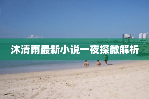 沐清雨最新小說一夜探微解析