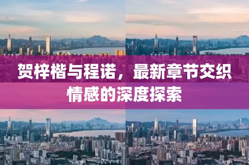 賀梓楷與程諾，最新章節(jié)交織情感的深度探索