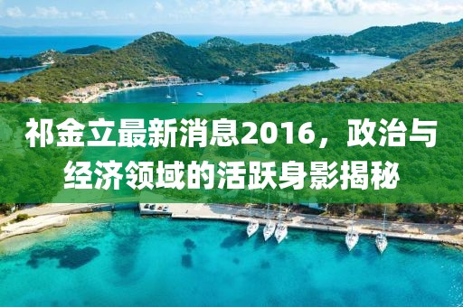 祁金立最新消息2016，政治與經(jīng)濟領(lǐng)域的活躍身影揭秘