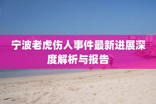 寧波老虎傷人事件最新進展深度解析與報告