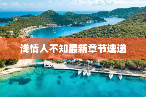 淺情人不知最新章節(jié)速遞