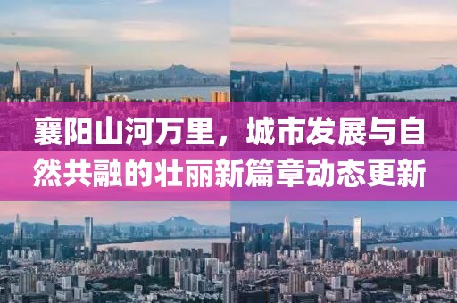 怕你松手 第17頁
