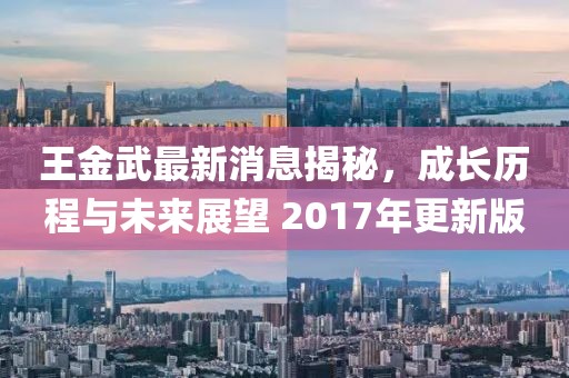 王金武最新消息揭秘，成長(zhǎng)歷程與未來(lái)展望 2017年更新版