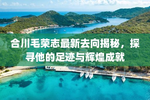 合川毛榮志最新去向揭秘，探尋他的足跡與輝煌成就