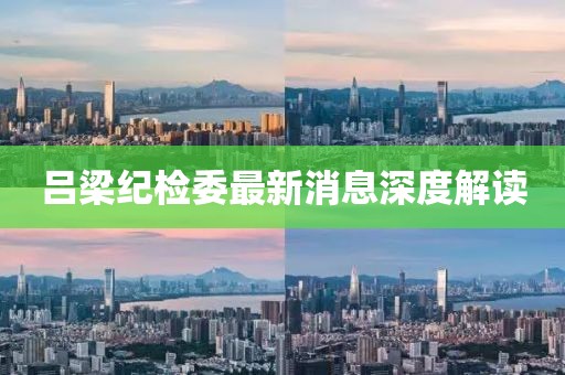 呂梁紀(jì)檢委最新消息深度解讀