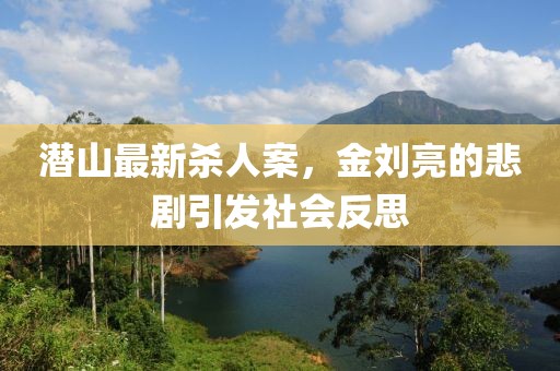 潛山最新殺人案，金劉亮的悲劇引發(fā)社會反思