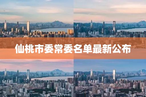 仙桃市委常委名單最新公布