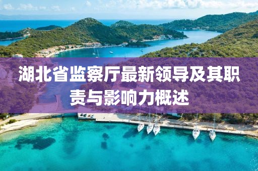 湖北省監(jiān)察廳最新領導及其職責與影響力概述
