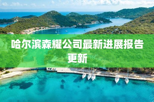 哈爾濱森耀公司最新進展報告更新