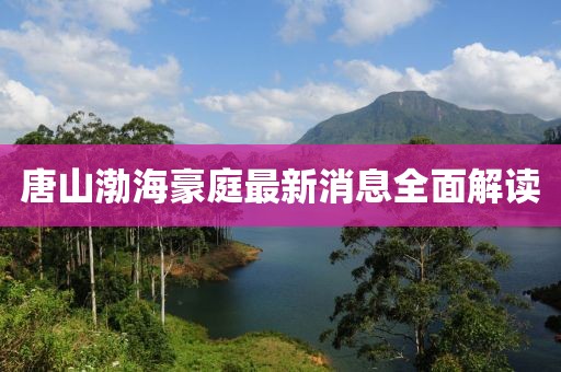 唐山渤海豪庭最新消息全面解讀
