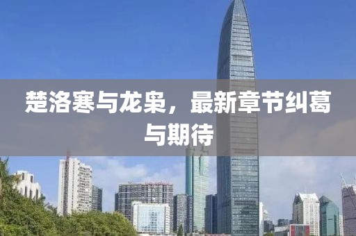 楚洛寒與龍梟，最新章節(jié)糾葛與期待
