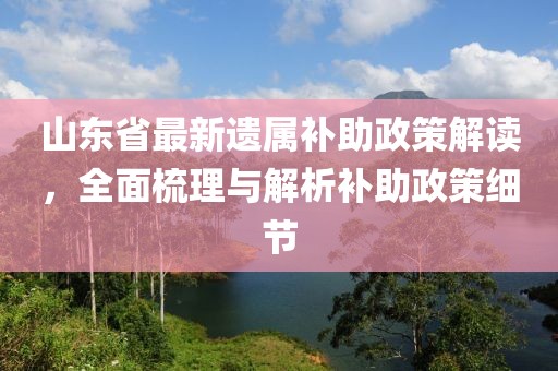 山東省最新遺屬補助政策解讀，全面梳理與解析補助政策細(xì)節(jié)