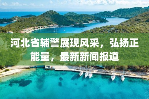河北省輔警展現(xiàn)風(fēng)采，弘揚(yáng)正能量，最新新聞報(bào)道