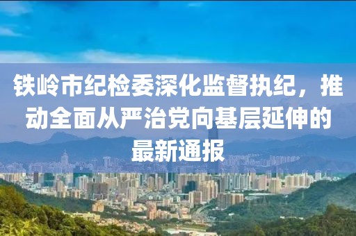 鐵嶺市紀(jì)檢委深化監(jiān)督執(zhí)紀(jì)，推動全面從嚴(yán)治黨向基層延伸的最新通報