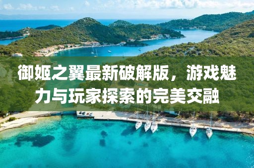 御姬之翼最新破解版，游戲魅力與玩家探索的完美交融