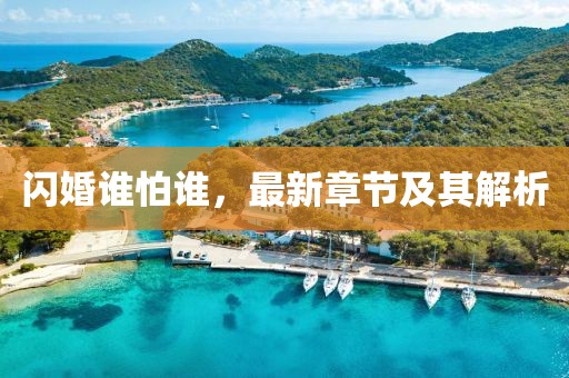 閃婚誰怕誰，最新章節(jié)及其解析