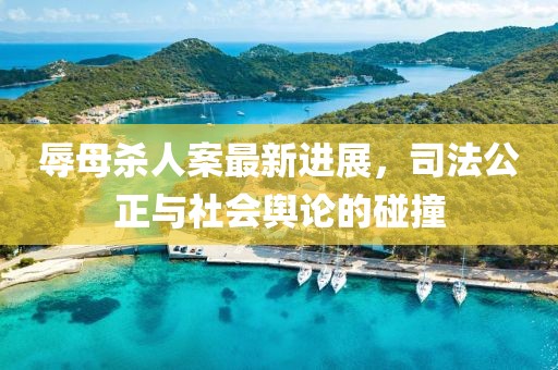 辱母殺人案最新進(jìn)展，司法公正與社會輿論的碰撞