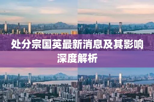 處分宗國英最新消息及其影響深度解析