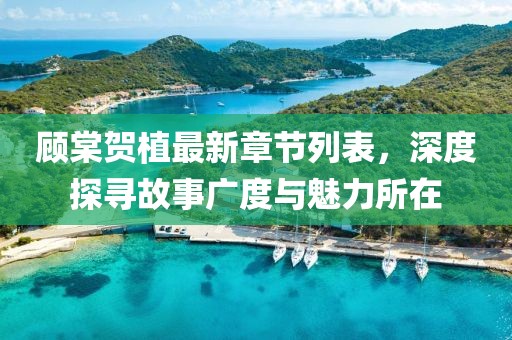 顧棠賀植最新章節(jié)列表，深度探尋故事廣度與魅力所在