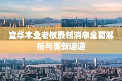 宜華木業(yè)老板最新消息全面解析與更新速遞