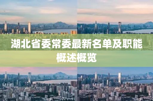 湖北省委常委最新名單及職能概述概覽