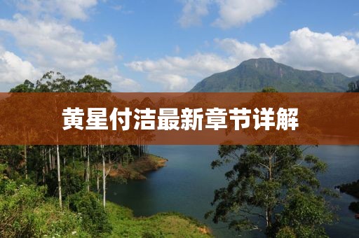 黃星付潔最新章節(jié)詳解