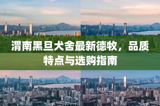 紫珺婳淺 第11頁