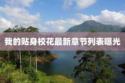 我的貼身?；ㄗ钚抡鹿?jié)列表曝光