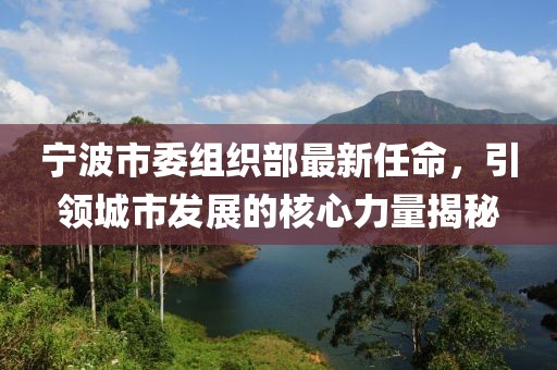 寧波市委組織部最新任命，引領城市發(fā)展的核心力量揭秘