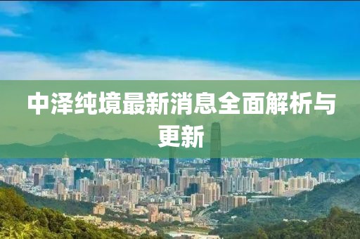 中澤純境最新消息全面解析與更新