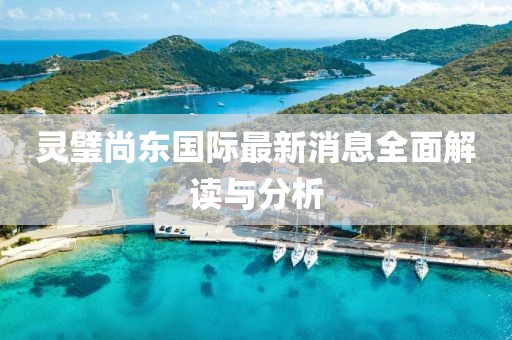 靈璧尚東國際最新消息全面解讀與分析