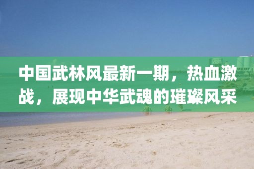 中國武林風最新一期，熱血激戰(zhàn)，展現(xiàn)中華武魂的璀璨風采